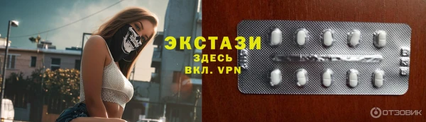 ECSTASY Гусь-Хрустальный